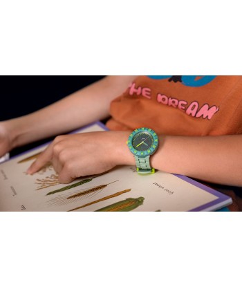 MONTRE FLIK FLAK GREENOLGY pas cher 