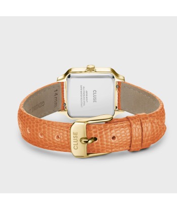 GRACIEUSE PETITE LEATHER, APRICOT GOLD COLOUR 2024