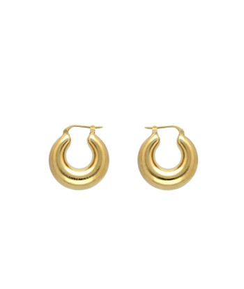 BOUCLES D'OREILLES CIRCLET EARRING GOLD VANESSA BARONI est présent 