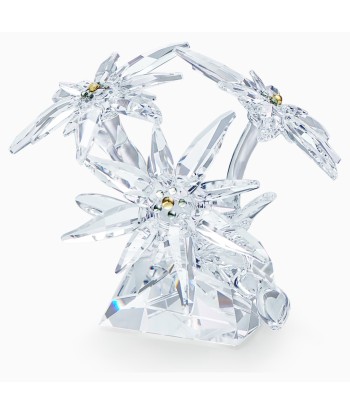 Swarovski Edelweiss SCS 2020 Annual Edition Crystal Figurine - 5493708 la livraison gratuite